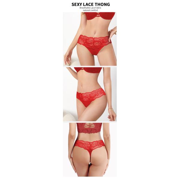 Las bragas de nylon del inconformista con los escritos atractivos ultra suaves del encaje elástico del cordón ven a través de las prendas íntimas de las bragas