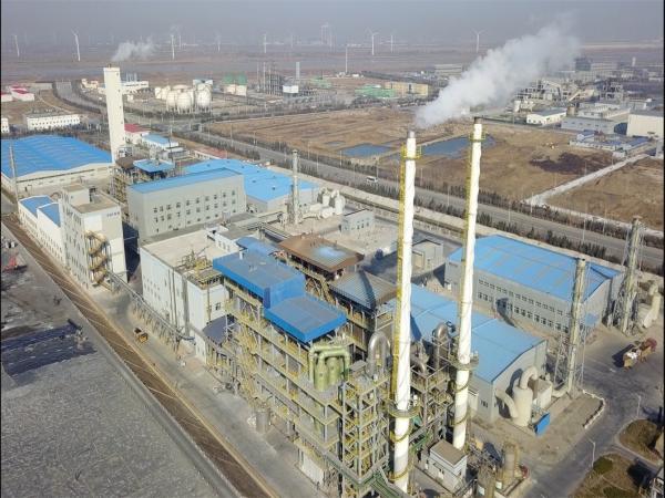 10-15 Years Service Life Hazardous Waste Incinerator And Combustion Type European Standard
