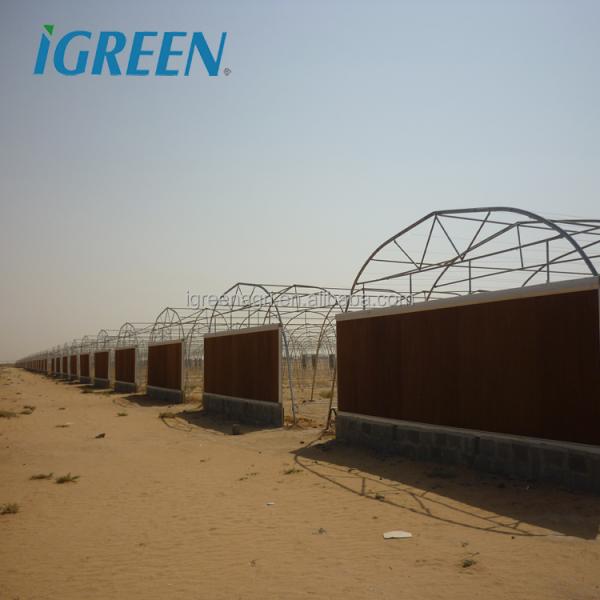 Low Cost Metal Frame Greenhouse for Vegetable Growing