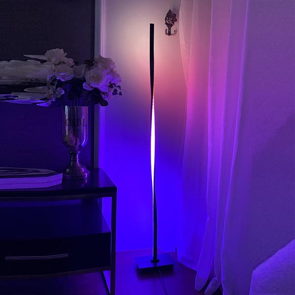 Modern LED Floor Lamps Lighting Living Room Floor Lamp Bedroom Bedside Dimming corner floor lamp(WH-MFL-02)