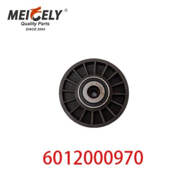 6012000970 9146139 Pièces détachées de moteur automobile