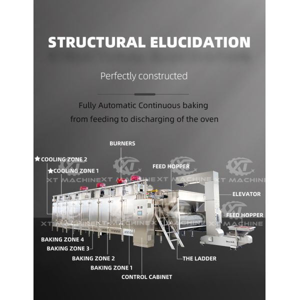 Continuous Belt Type Nuts Roasting Machine with Stainless Steel 304 for Automatic Temperature Control
