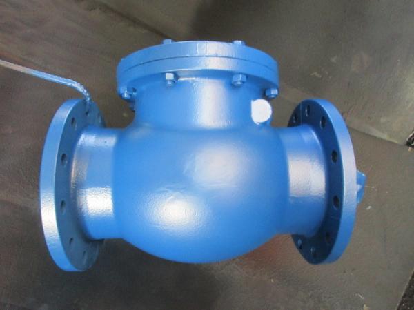 din   SWING CHECK VALVE