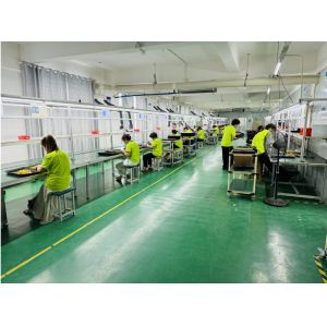 Shenzhen VIIP Electronics Co., Ltd.