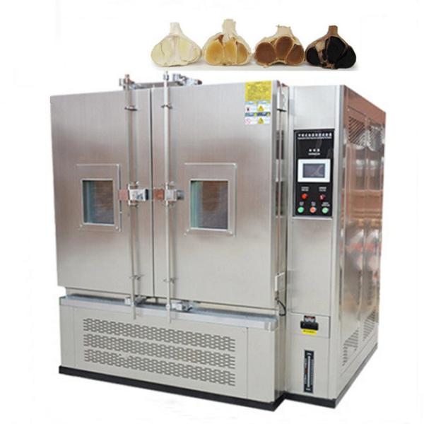 commercial  Black Garlic Fermentation Machine Antioxidant corrosion proof