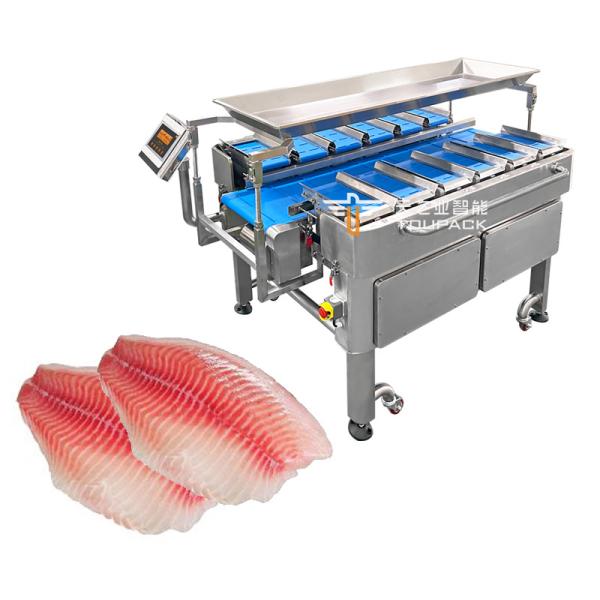 Sistema de pesaje multicabezal con cinta de carga automática y robot Delta para carne