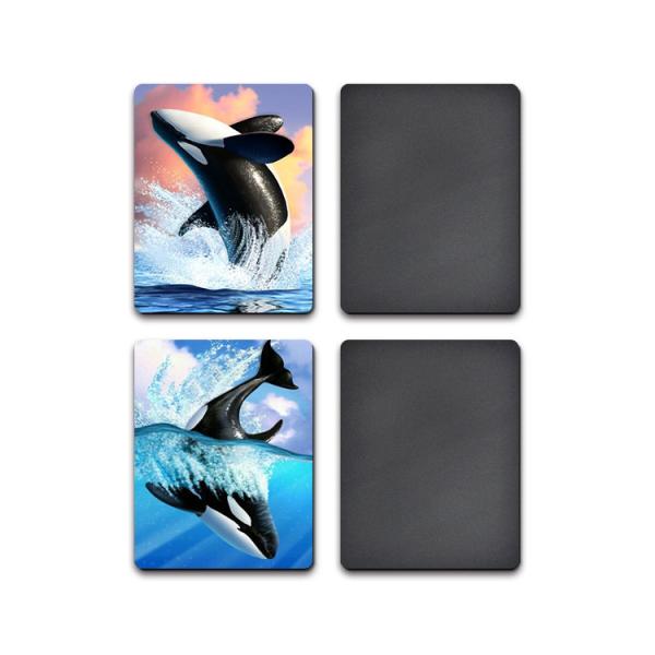 Full Color Printing 3d Refrigerator Magnets PP / PET Lenticular With Flip Effect
