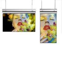 Signage de 32/55 de polegada 1080p Android OLED Digitas