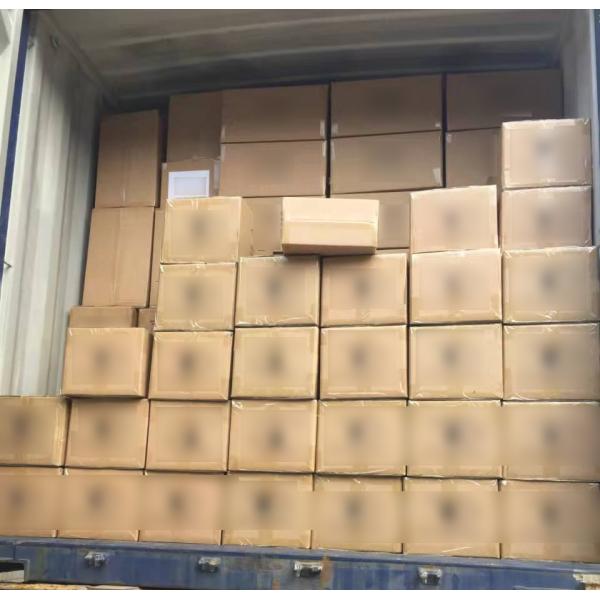 Logotipo personalizado Vent curva húmeda y seca Cuero cabelludo de masaje Cepillo de cabello cuadrado Paddle Detangle Cepillo de cabello para cabello rizado