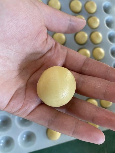 Six Rows Glutinous Rice Ball Making Machine Easy Operation 2550*1350*1580mm