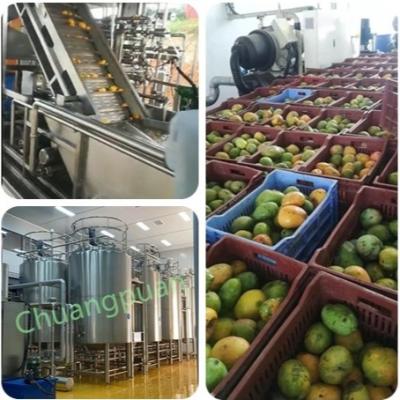 500-50000KG/H Mango Pulp Juice Machine Stainless Steel