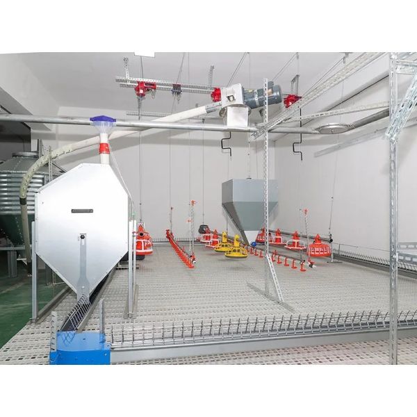 Custom Automated Poultry Equipment with Hot-Dip Galvanized Steel Anti-Spillage Design and Nipple Drinkers
