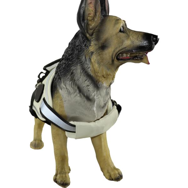 Помощь тяги проводки собаки Xxs Xxs астетическая анти- холя голубую черноту