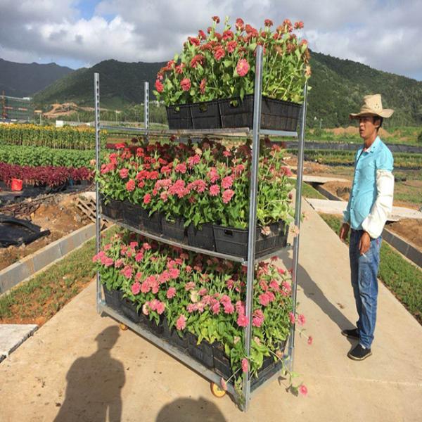 Датская вагонетка ТК0131 включает крен в набор отложенных изменений садовнического цветка участка стальной