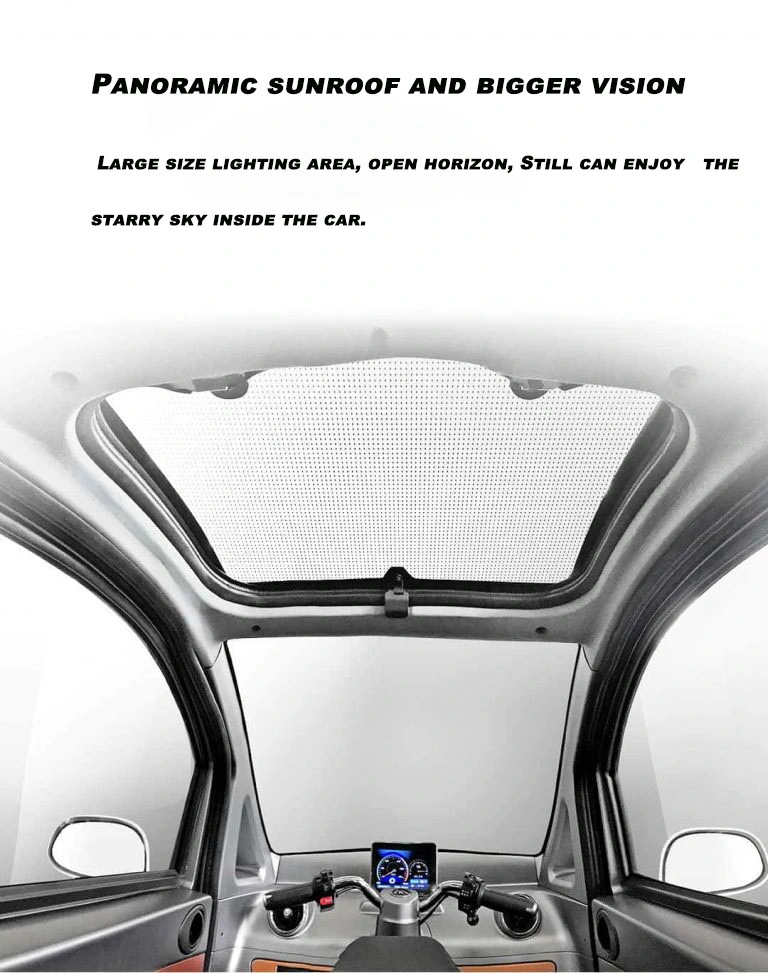 Raysince latest model electric mini car EEC certificated 60V 3 wheel electric bicycle for hot sale