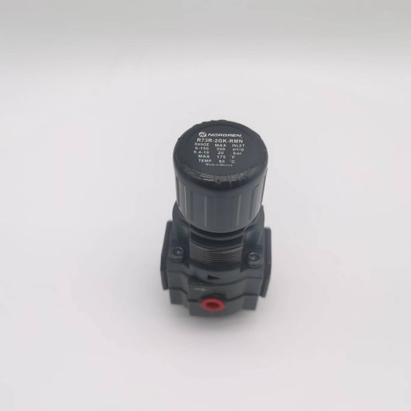 NORGREN R72G-2GK-RMG Pneumatic Regulator Lubricator Excelon General Purpose Pressure Regulator G1/4 0.3-10 Bar Without Gauge