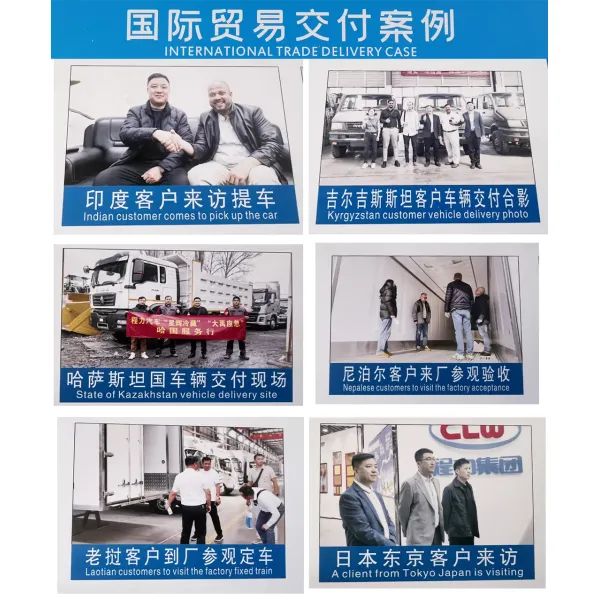 Customizable Shacman Crane Truck with Left or Right Drive