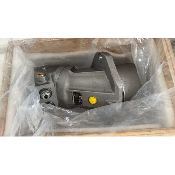 Rexroth A2FE Series High Pressure Hydraulic Piston Pump with Cast Iron Construction and 1 Year Warranty