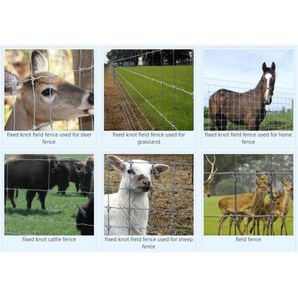 Sheep wire fence for sale