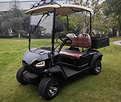 1-2 Seats DOT Electric Golf Carts with DOT Certification and Front LED Headlight
