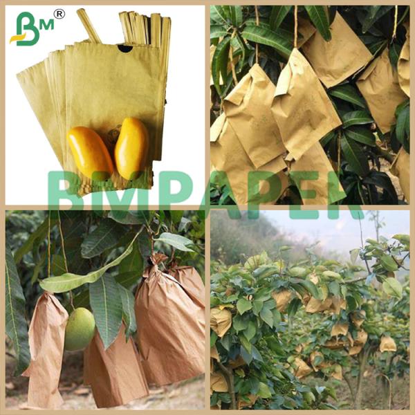 Sac de protection pour la culture de la mangue 30 gm papier noir 55 gm papier brun extérieur