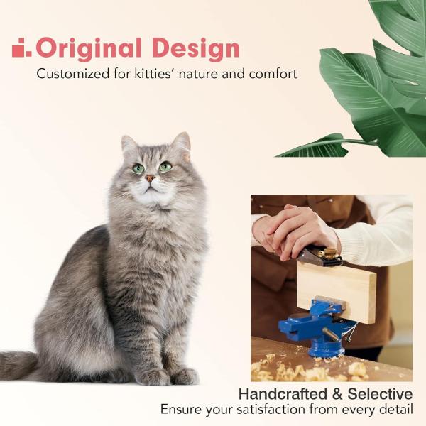 Elegant Wine Packaging Boxes Wooden Cat Wall Steps Climbing Shelves for Excitement