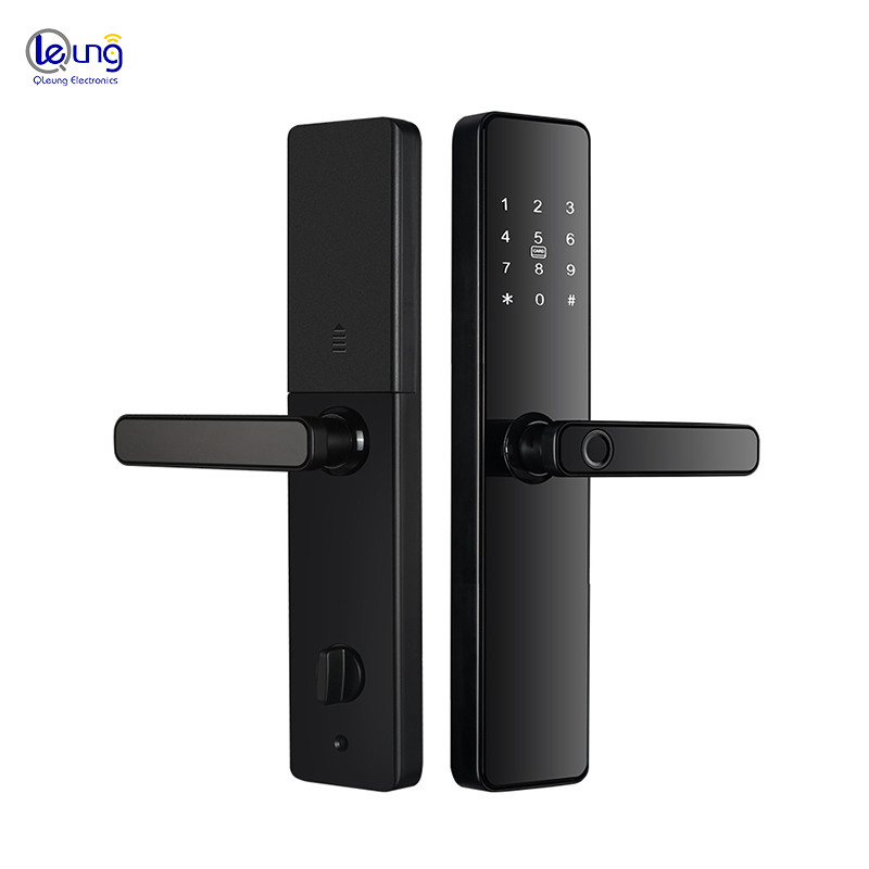 WiFi Tuya TTlock Smart Lock Door с облачным хранилищем и цифровой ключ-картой пароля