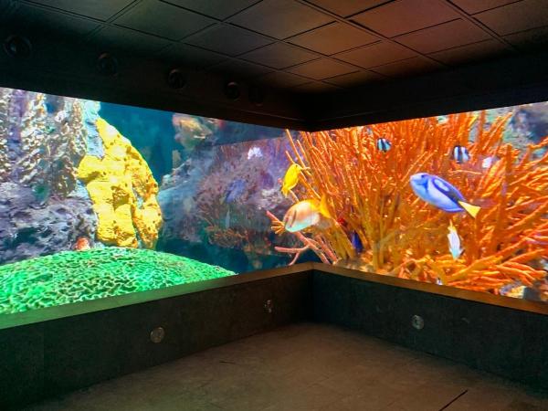 P3.91 P5 P6 P8 P10 Outdoor LED Panel Display Screen Full Color Digital Advertising Billboard For Road Side