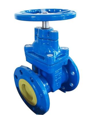 (BS) Cast Iron Resilient Gate Valve nor-rising stem