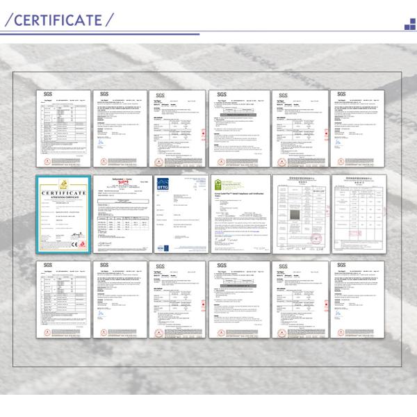 5.5lb Pile Weight Custom Logo Mats for Modern Living Room Carpets and Nylon Pile