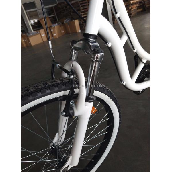Aluminum Rim 24 Inch Double Seater Tandem Bike for Family Touring and Sightseeing