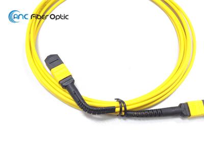 Conjuntos de cabo de fibra ótica de FlexiBend MPO
