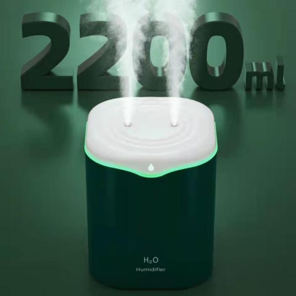 Hotel Aromatherapy USB Double Nozzle Air Humidifier for Car Office Home Essential Oil
