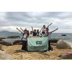 Shenzhen LDK Industrial Co., Ltd.
