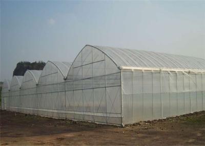 High Strength Double Layer Greenhouse , Custom Greenhouse 4m Bay Width