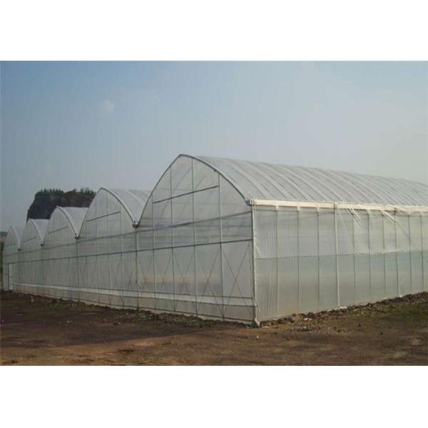 High Strength Double Layer Greenhouse , Custom Greenhouse 4m Bay Width