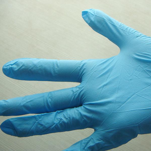 Powder Free Disposable Protective Gloves Industrial For Householding Vinyl Waterproof