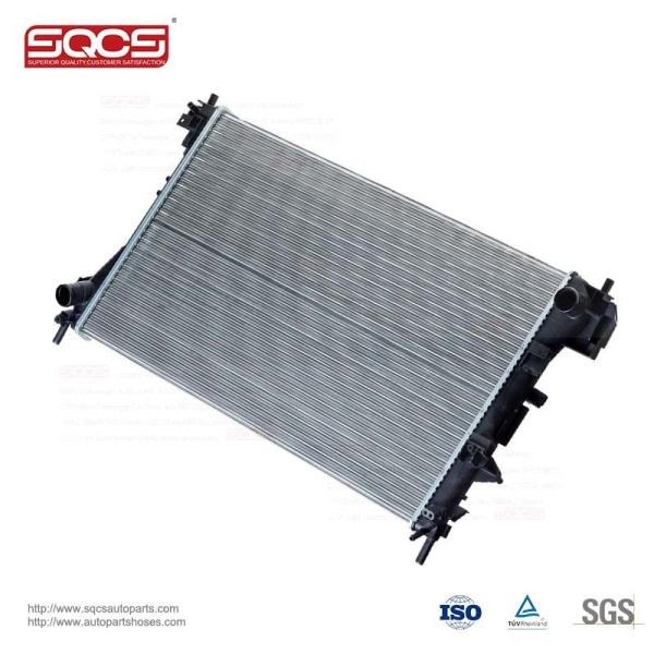 Rubber Radiator for Ford Transit YC1H8005BA and OEM Rubber Service