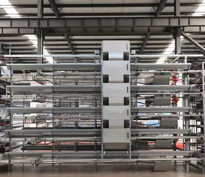 Commercial Poultry Cage System Featuring Durable Plastic Feed Pan