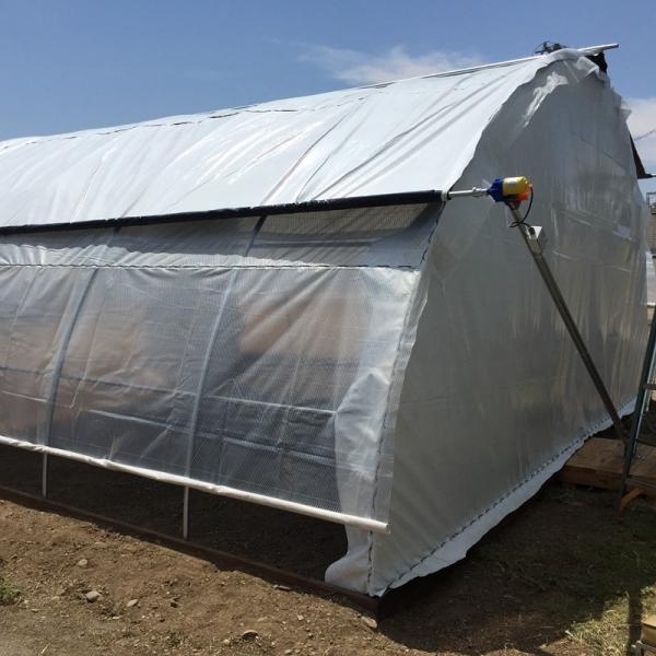 Agriculture Hot Dip Galvanized Steel Framework Panda Film Greenhouse Mushroom Cultivation