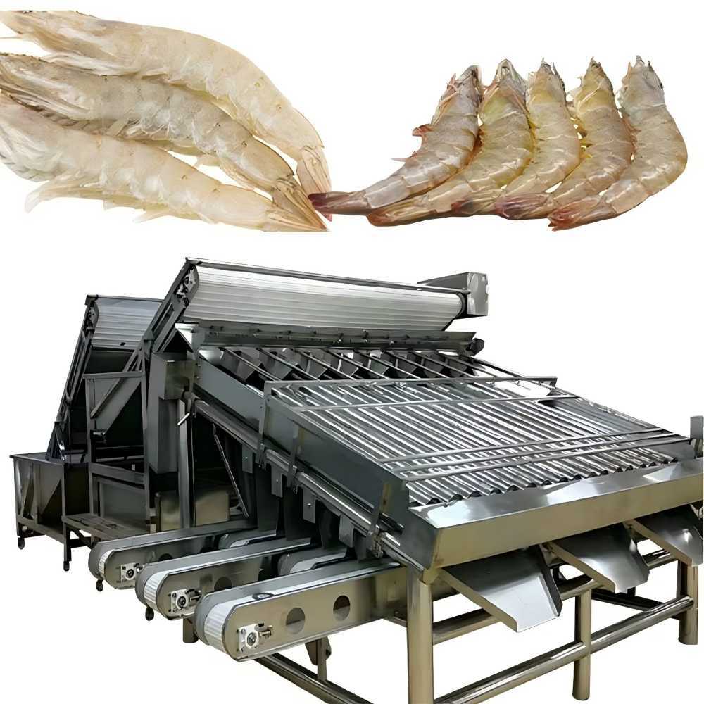 Automatic Shrimp Sizing Machine 1000kg-1210kg Prawn Grading Machine
