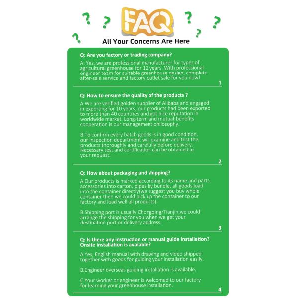 Baolida 6x12m Gothic Tunnel Greenhouse with 8mm PC Board Cover