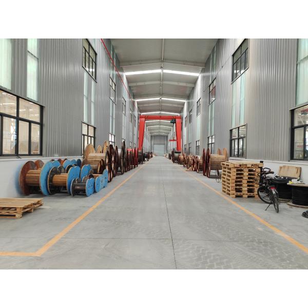 Yjv32 0.6/1kv 4x16-185mm2 Copper Conductor XLPE SWA PVC Power Cable for Construction