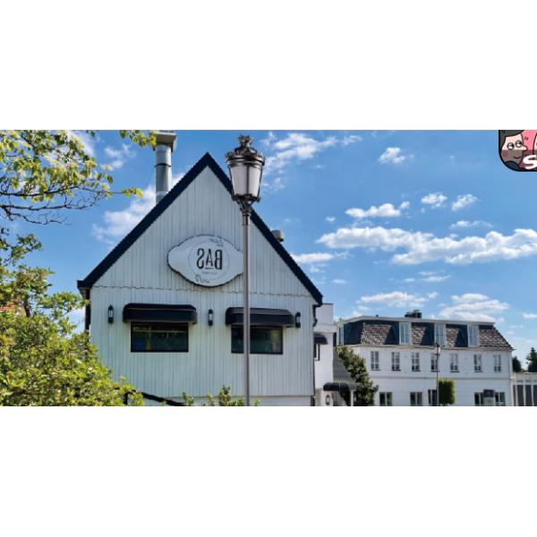 IP66 Die-casting Aluminum 40W-100W Classical Outdoor Light AC90-305V Optical Lens Crown Lights For Main Streets And Residential Areas