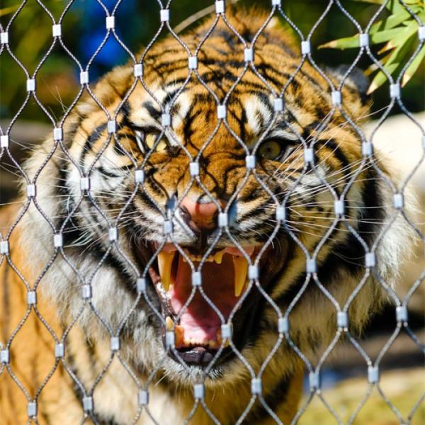 Stainless Steel 316 / 316L  Zoo Mesh , Protective Tiger cage Enclosure Fencing