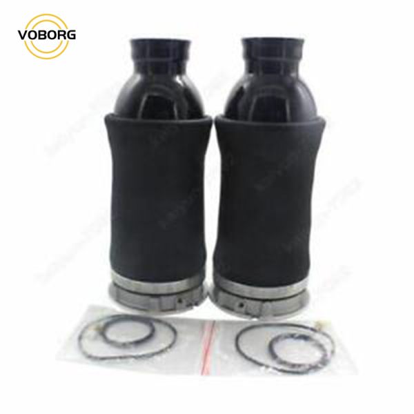 Hot Sell Rear Air Suspension Shock Absorber Reart Left and Right Shock Absorbers for Audi Auto Parts