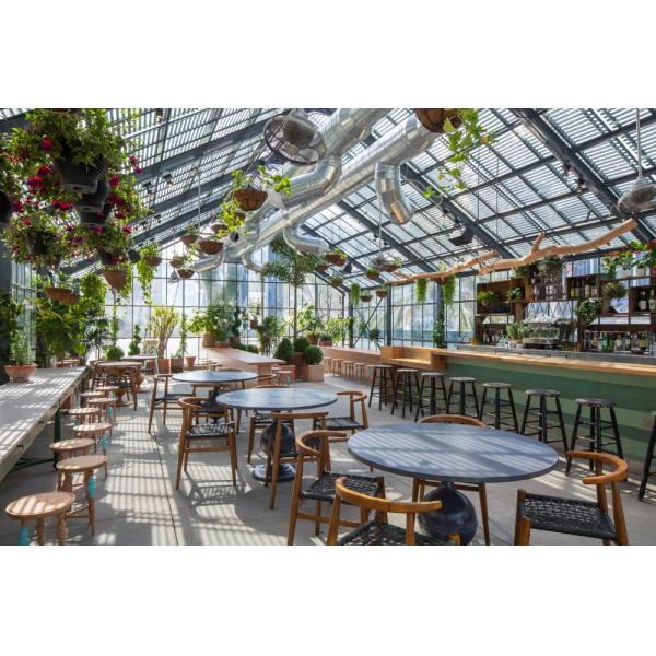 Single Span Greenhouse Mushroom Growing Equipment Covered with Transparent Plastic Film