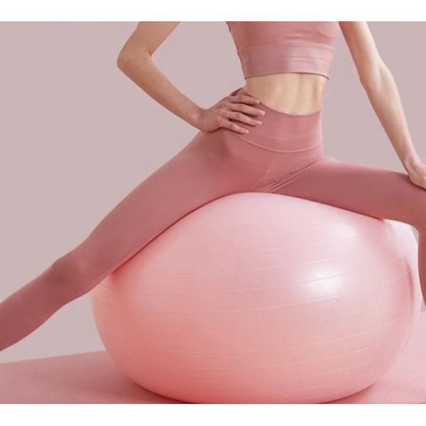 Availalbe OEM 55 см ПВХ анти-взрыв Gym упражнения йога мяч с воздушным насосом и красочными