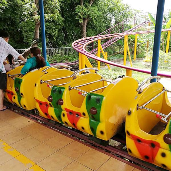 Outdoor Amusement Park Roller Coaster / Little Roller Coaster Mix Color