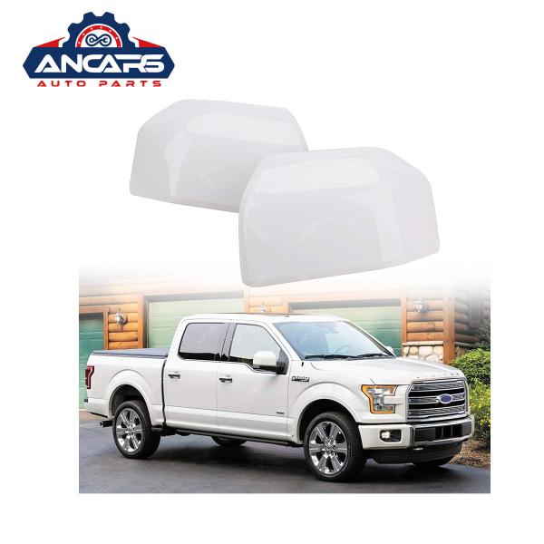 Paste Ford Side Mirror Parts , 2015-2020 F150 Side Mirror Cover